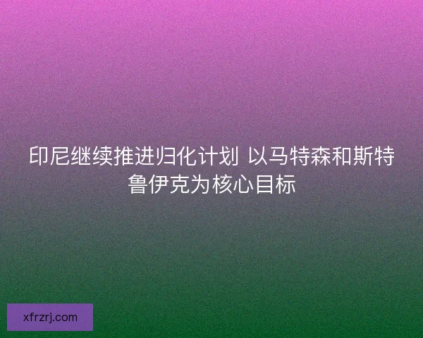 印尼继续推进归化计划 以马特森和斯特鲁伊克为核心目标